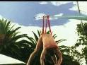 Diet Irn Bru - Diving Lothario